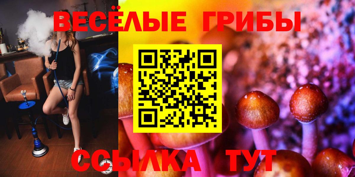 Аксай  Псилоцибиновые грибы GOLDEN TEACHER  Вход с VPN  Псилоцибиновые грибы прущие грибы 